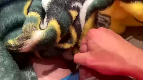 realbigload77 online show from October 11, 2025, 2:55 am