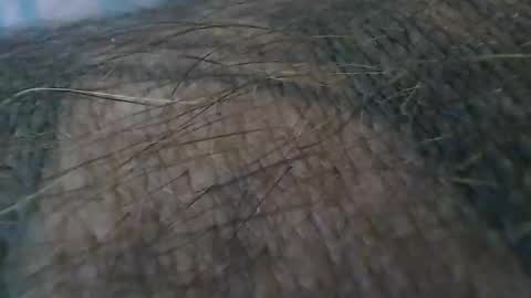 Snapshot of realrubpirate chatting on October 19, 2025, 9:21 am realrubpirate online show from October 19, 2025, 9:21 am