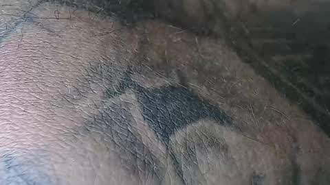 Snapshot of realrubpirate chatting on November 2, 2025, 6:38 am realrubpirate online show from November 2, 2025, 6:38 am