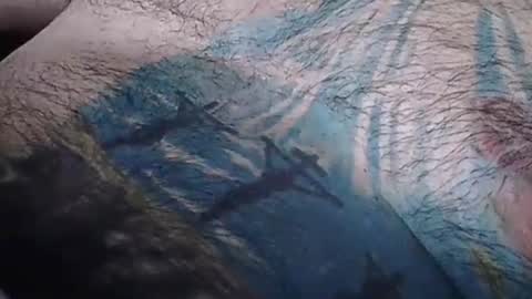 realrubpirate online show from February 5, 2026, 9:58 am