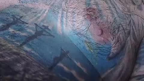 realrubpirate online show from February 15, 2026, 9:08 am