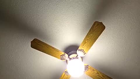 Snapshot of red24devils chatting on February 2, 2026, 8:07 pm red24devils online show from February 2, 2026, 8:07 pm