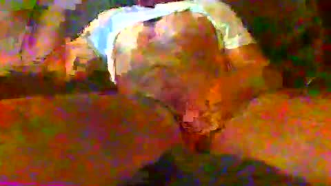 Snapshot of redtxchopper chatting on November 18, 2025, 1:33 am redtxchopper online show from November 18, 2025, 1:33 am