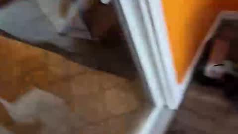 Snapshot of reggie007007 chatting on January 7, 2026, 2:08 pm reggie007007 online show from January 7, 2026, 2:08 pm