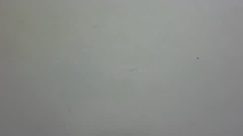 Snapshot of rellings_maya chatting on December 26, 2024, 11:10 am rellings-maya online show from December 26, 2024, 11:10 am
