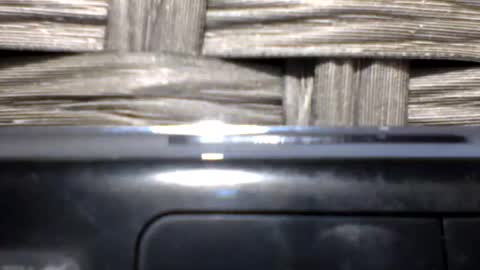 repeatergun10 online show from February 14, 2026, 11:07 am