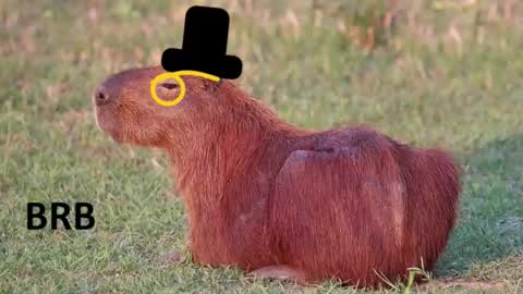 Snapshot of revivedunknown chatting on November 15, 2025, 8:27 pm Chris online show from November 15, 2025, 8:27 pm