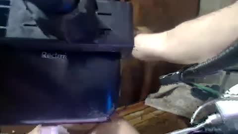 Snapshot of reyna14325 chatting on January 24, 2025, 8:23 am Reynaldo Palermo Alconera online show from January 24, 2025, 8:23 am