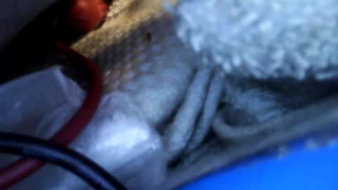 Snapshot of rgglen986 chatting on February 14, 2026, 2:36 pm rgglen986 online show from February 14, 2026, 2:36 pm