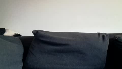 Shaved cock ready online show from March 31, 2026, 6:03 am