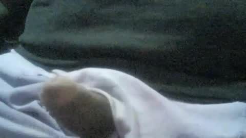 ricardo160291 online show from January 6, 2025, 1:09 am