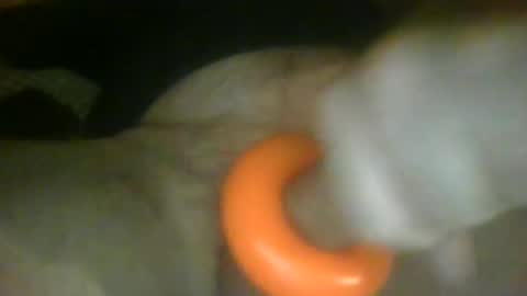 Snapshot of richardspit chatting on January 26, 2025, 7:32 am richardspit online show from January 26, 2025, 7:32 am