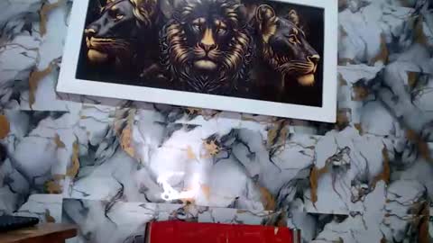 rigel online show from March 12, 2026, 5:46 am