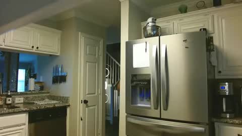 riley depp online show from February 14, 2025, 10:04 pm