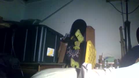 ripperusa33 online show from December 15, 2025, 4:50 am