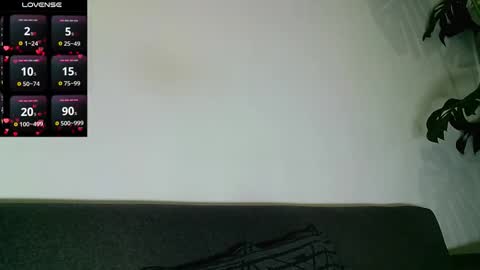 SebasRoa online show from November 28, 2025, 2:31 pm