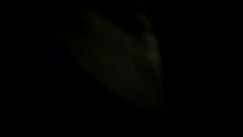 Johnny online show from May 31, 2026, 6:09 pm