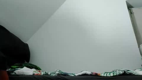 Snapshot of robertxxxpo chatting on October 2, 2025, 9:33 pm Zenek online show from October 2, 2025, 9:33 pm