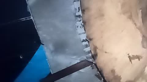 R online show from October 7, 2025, 5:59 am