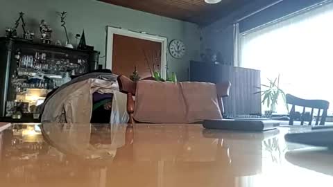 Snapshot of robke1966 chatting on January 22, 2025, 11:56 am robke1966 online show from January 22, 2025, 11:56 am