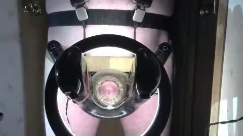 Robodickmilker online show from February 1, 2025, 8:18 am