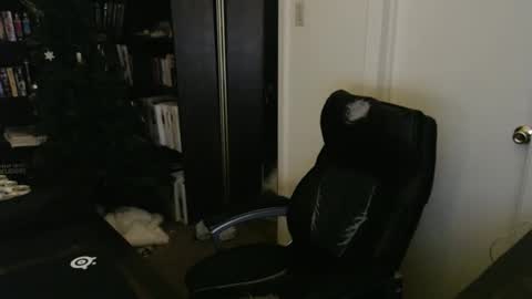 rockydanger online show from February 16, 2026, 5:42 pm