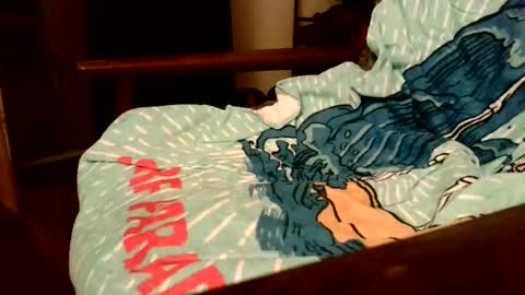 Snapshot of rogerrush chatting on November 15, 2025, 10:56 am rogerrush online show from November 15, 2025, 10:56 am