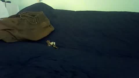 Snapshot of rojo22712 chatting on February 25, 2026, 10:19 pm Mr. Red online show from February 25, 2026, 10:19 pm