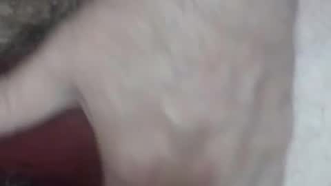 rokk_dude online show from October 26, 2025, 2:28 am