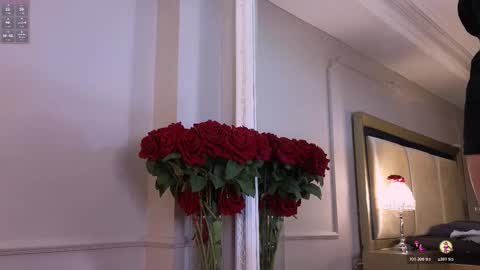 Snapshot of roman_chase chatting on November 5, 2025, 11:43 am online show from November 5, 2025, 11:43 am