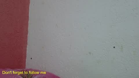 Snapshot of ronnispoto chatting on January 31, 2025, 10:10 pm ronny online show from January 31, 2025, 10:10 pm