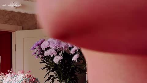 Rosalie online show from March 31, 2026, 3:41 am