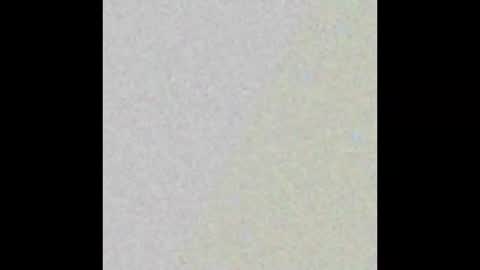 Rose  online show from February 14, 2025, 1:23 am