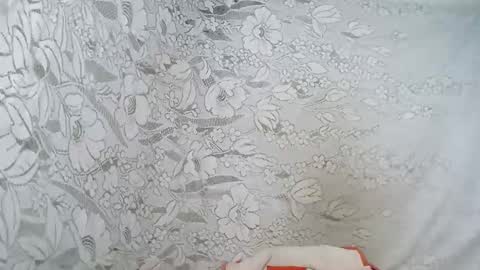 rosia online show from November 20, 2025, 3:56 pm