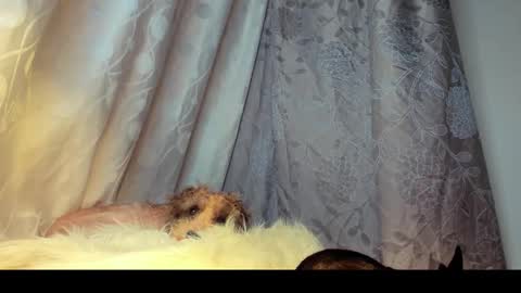 Rosita online show from February 26, 2026, 6:01 am