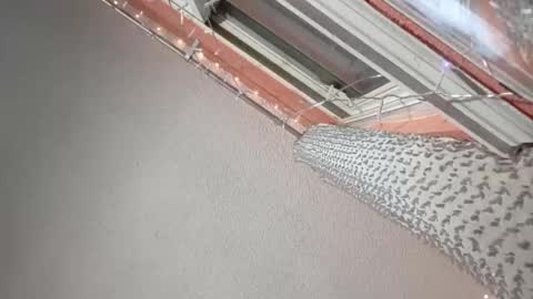 Snapshot of rraineonme chatting on January 12, 2026, 10:09 am rraineonme online show from January 12, 2026, 10:09 am