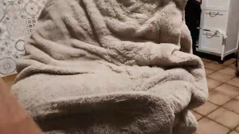 Snapshot of ruan8080 chatting on February 4, 2025, 5:31 am petit cochon online show from February 4, 2025, 5:31 am