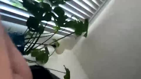 rula___1 online show from February 4, 2026, 10:47 pm