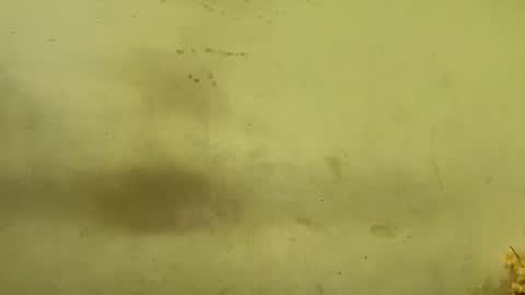 Rupali online show from December 20, 2025, 4:19 am