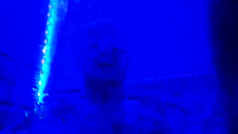 Snapshot of russialoveskm chatting on January 8, 2025, 9:53 am russialoveskm online show from January 8, 2025, 9:53 am