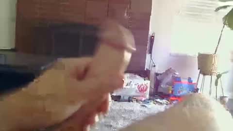 Snapshot of ryanbobby88 chatting on October 31, 2025, 9:16 pm ryanbobby88 online show from October 31, 2025, 9:16 pm