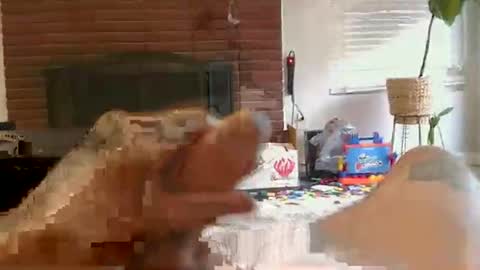 Snapshot of ryanbobby88 chatting on November 1, 2025, 2:19 pm ryanbobby88 online show from November 1, 2025, 2:19 pm