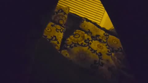 Snapshot of ryanfc85 chatting on February 8, 2026, 10:40 am RFC666 online show from February 8, 2026, 10:40 am