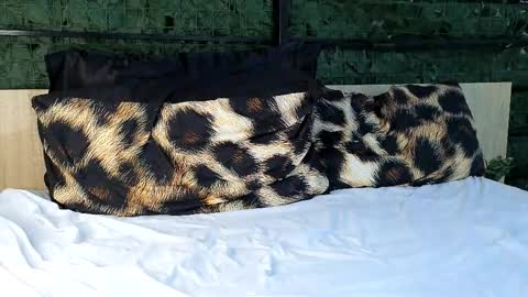 Snapshot of ryanstorm1 chatting on October 24, 2025, 10:28 pm ryanstorm1 online show from October 24, 2025, 10:28 pm