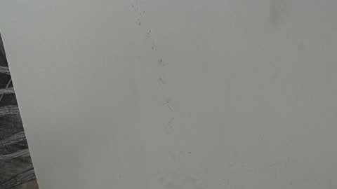 rylierouse online show from October 25, 2025, 5:51 pm