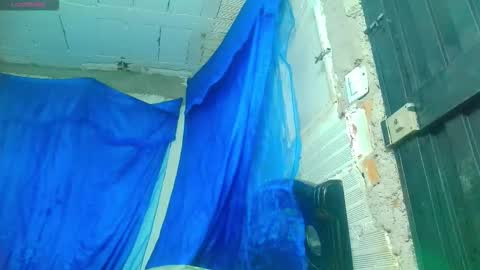 sofia online show from November 6, 2025, 7:04 pm