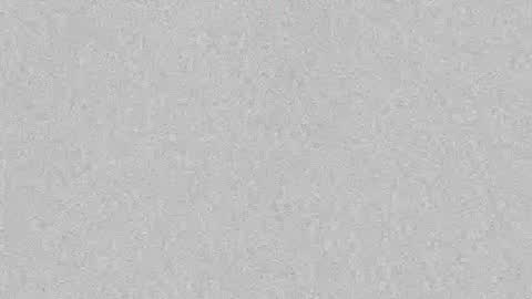 Leslie Beltrn online show from October 6, 2025, 3:59 am