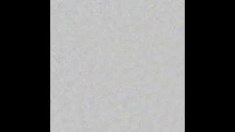 Leslie Beltrn online show from November 9, 2025, 2:54 am