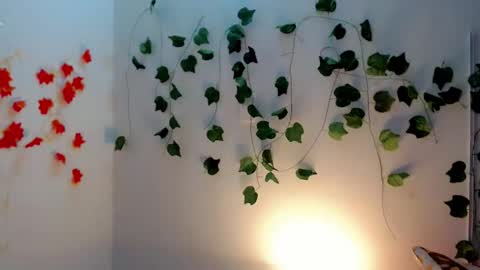 SABRI online show from January 28, 2025, 12:11 pm