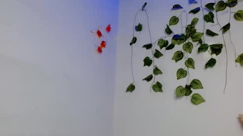 SABRI online show from April 10, 2026, 1:38 pm